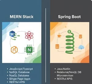 My Best Advice as a Software Engineer Honest Advice for Freshers 4 Mern and Spring Boot